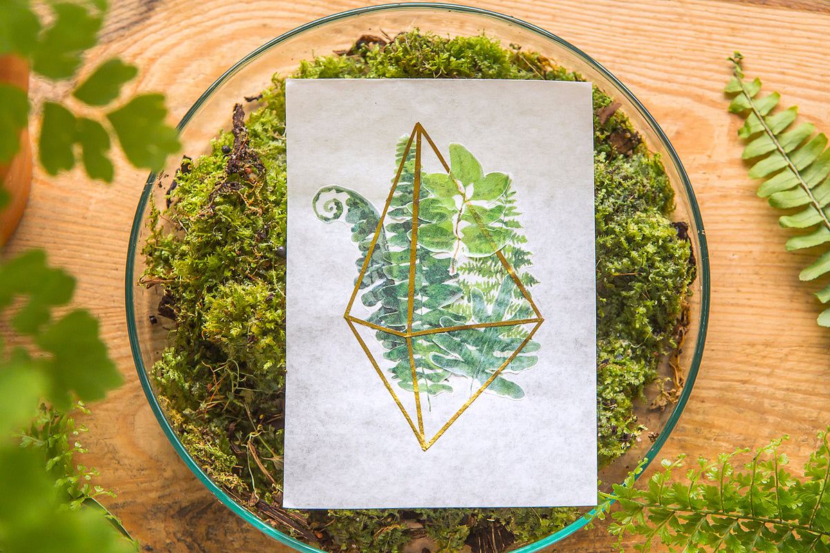 OURS masking tape: Ferns