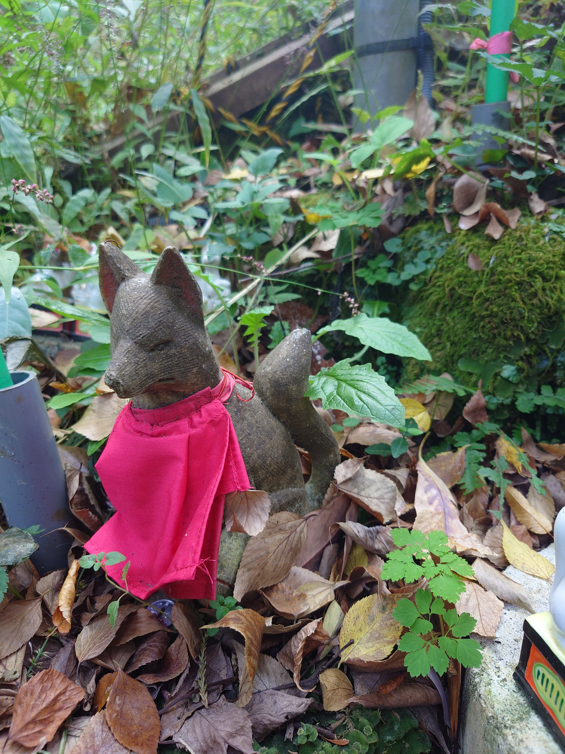 Traditional Japan: Inari shrines