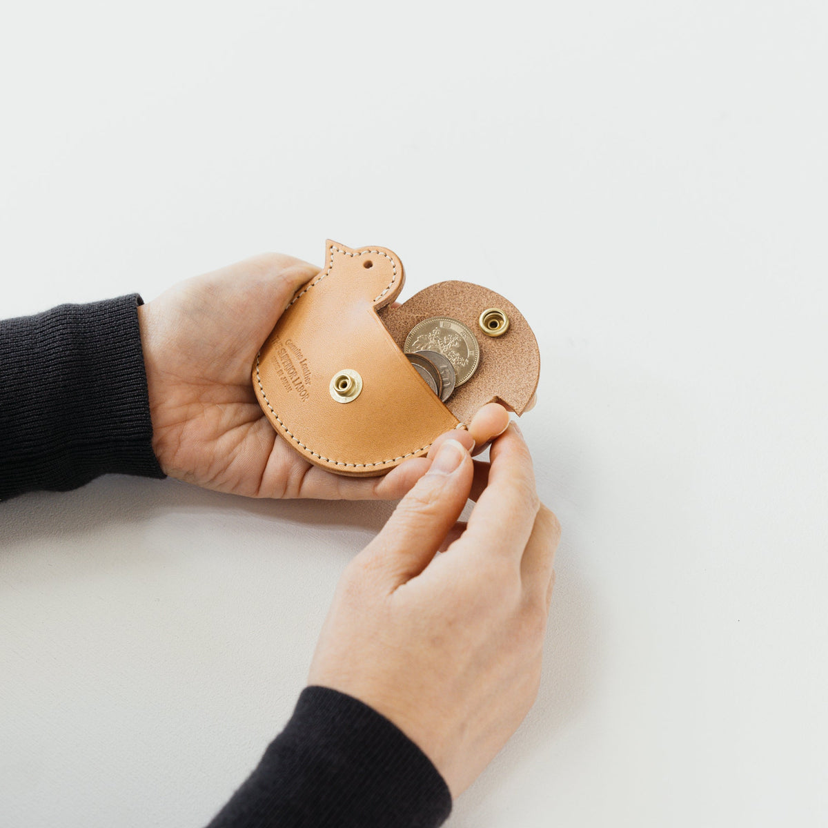 PRE-ORDER: TSL Bird Coin Case