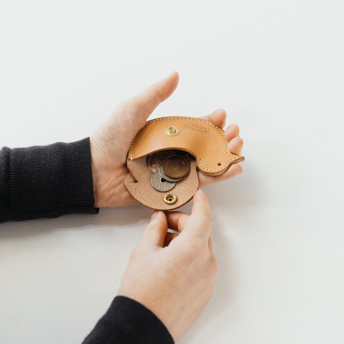 PRE-ORDER: TSL Bird Coin Case