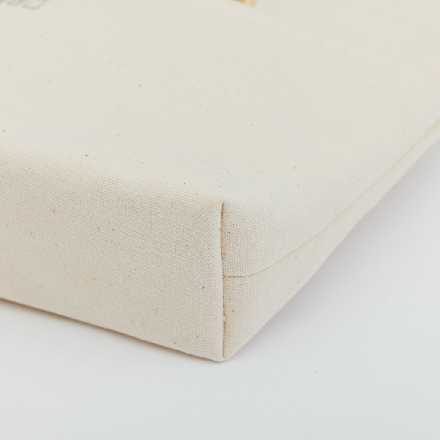TSL paraffin canvas mini bag
