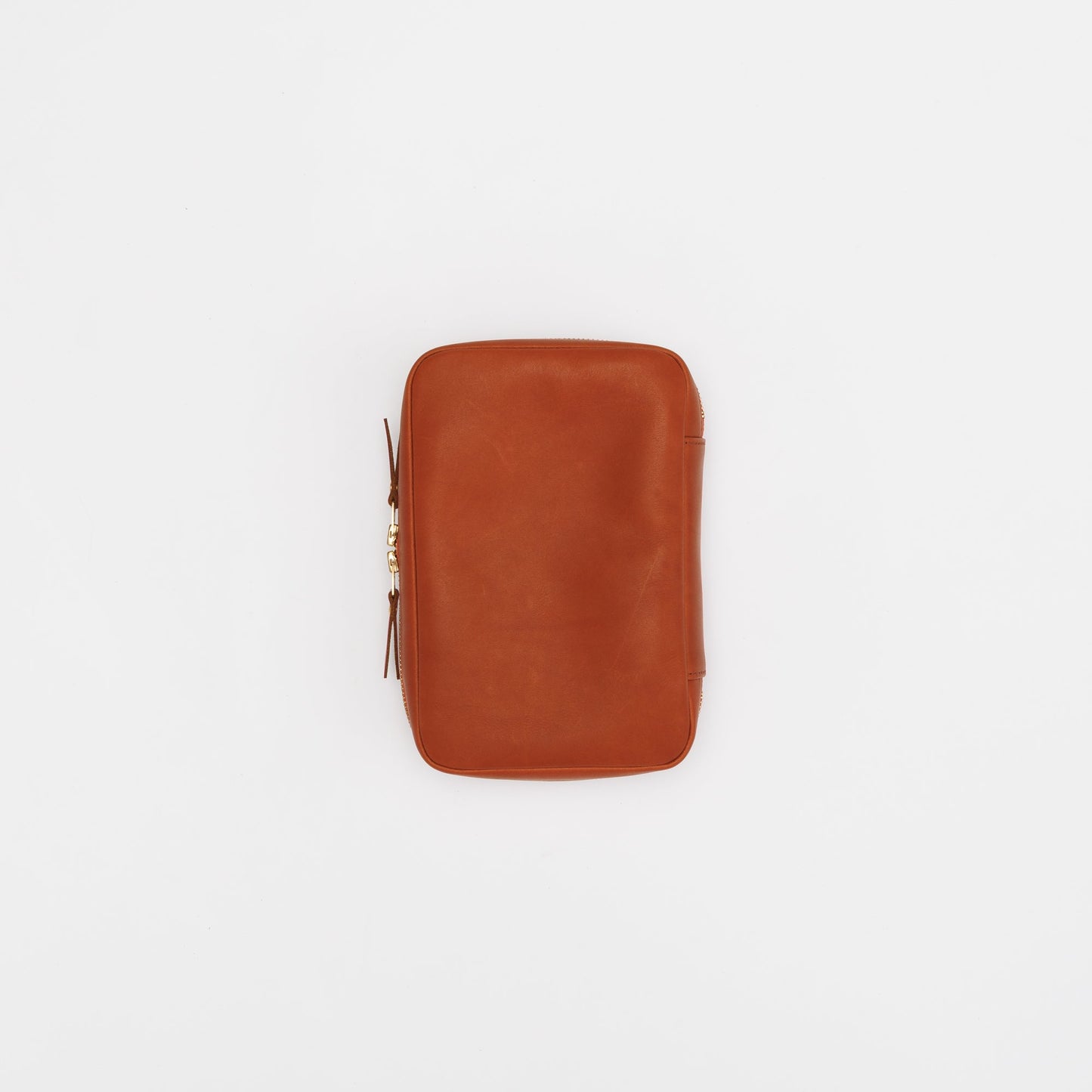 TSL Painter's leather case