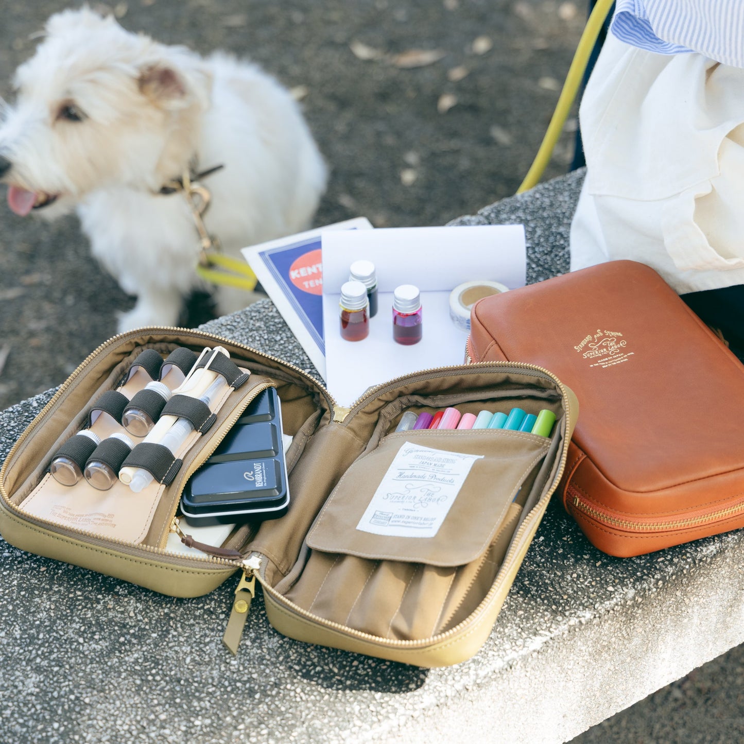 TSL Painter's leather case