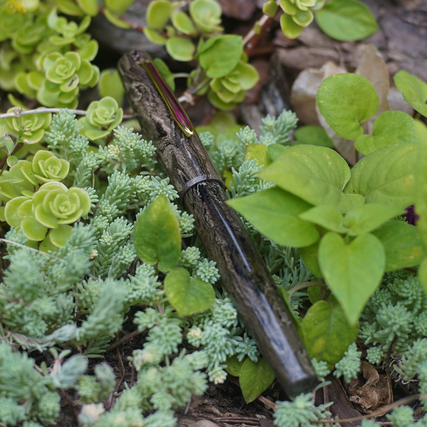 Eboya Fountain Pen - Natsume in Beige