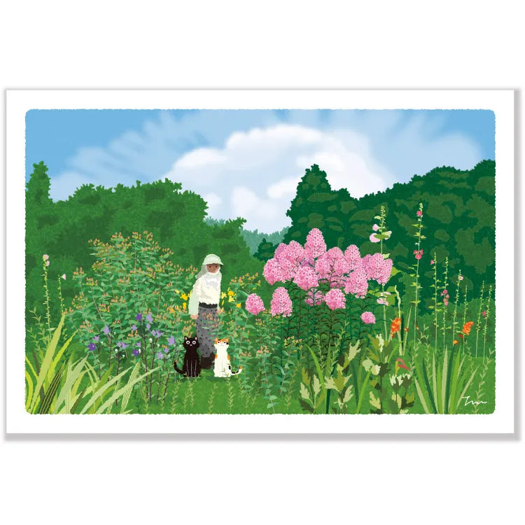 Postcard: もり としのり (Mori Toshinori): たびねこ (Tabi-Neko: Travelling Cat): Summer Garden