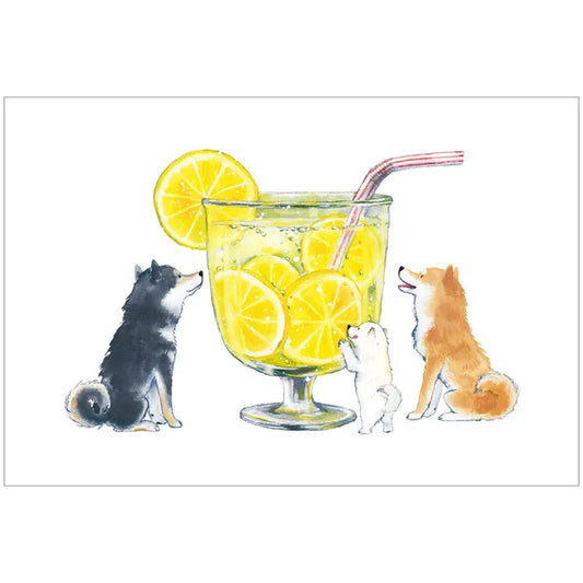 Postcard: 村田 夏佳 (Natsuka Murata): Shiba-Inu with Lemonade