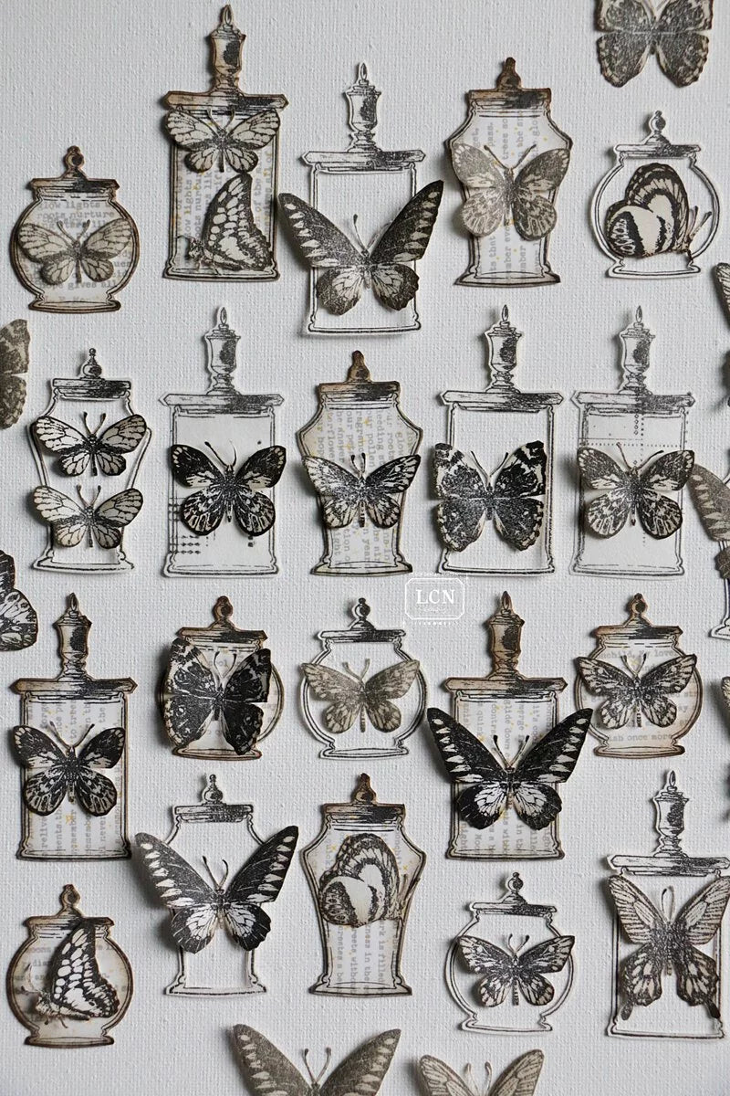 LCN rubber stamps: Specimen Display mounted no.2