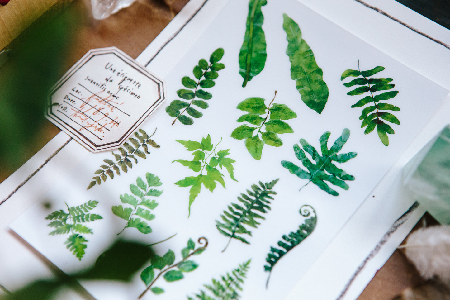 OURS print-on stickers: Ferns transfer sticker