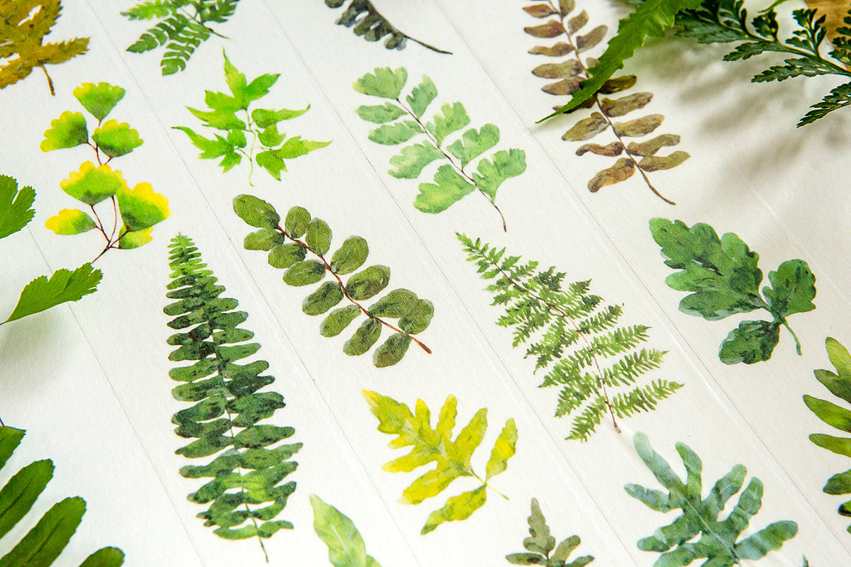 OURS masking tape: Ferns