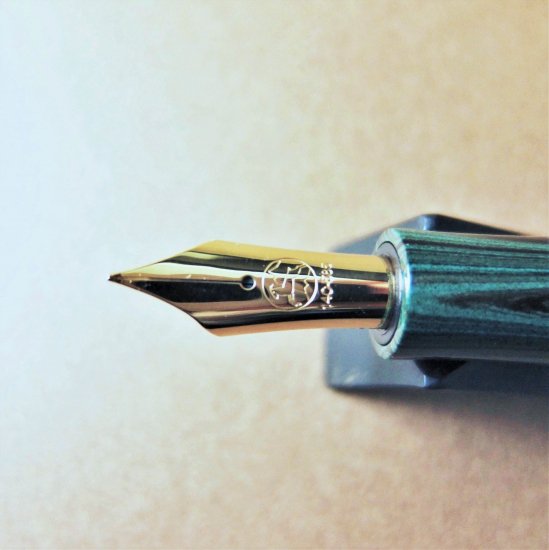 Eboya Fountain Pen - Ricchiku in Blue-Green