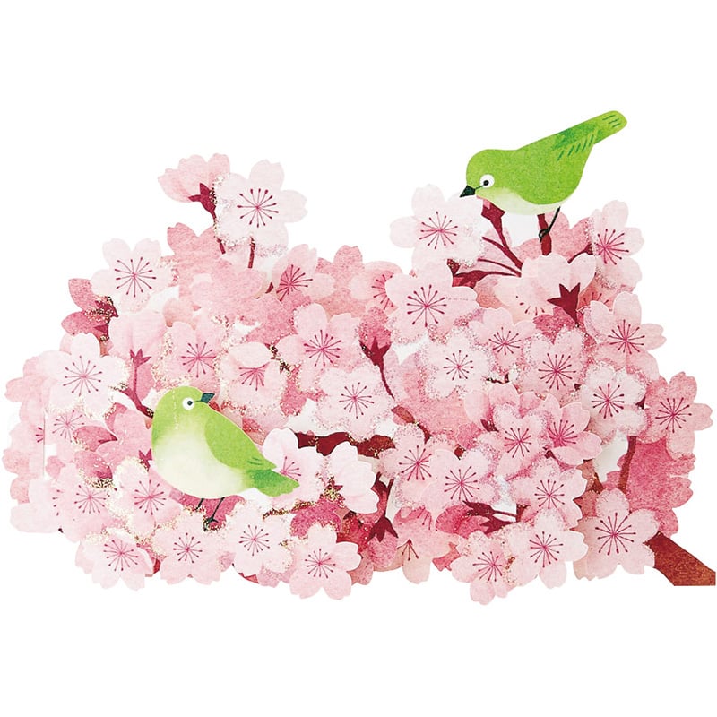 Sanrio Greeting Card: Spring, Cherry Blossoms & Warbling White-Eye bird (Zosterops japonicus)