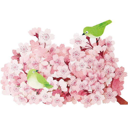 Sanrio Greeting Card: Spring, Cherry Blossoms & Warbling White-Eye bird (Zosterops japonicus)